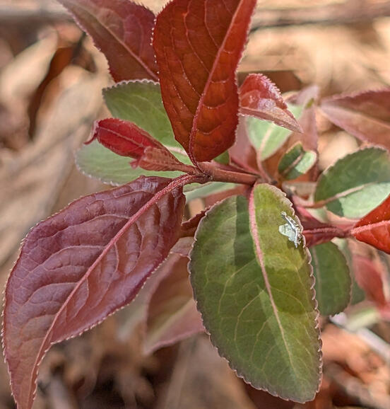 Untitled Untitled